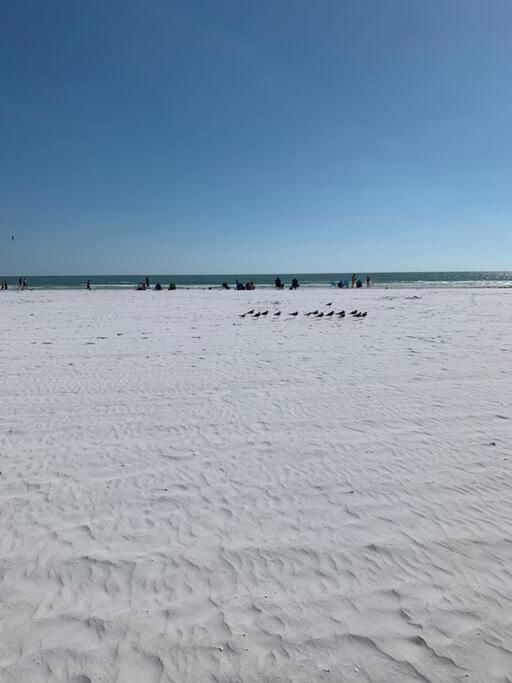 Rowena House 2Bd Den 2Bth Heated Pool Near Siesta Key Villa Сарасота Екстериор снимка